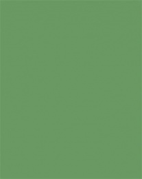 Dekorkarton, 2 oldalas, 50x70cm, 220 g, 10 lap, FOLIA, mohazöld